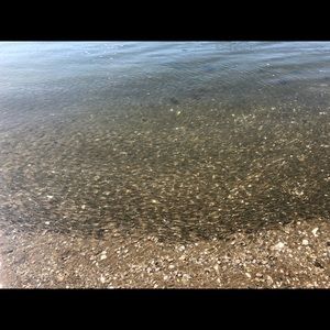 Meet your Posher, Astrid